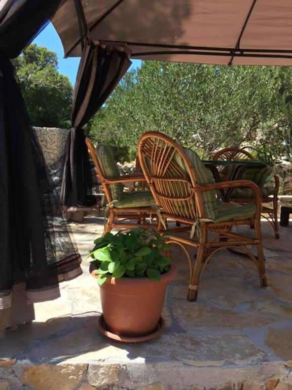 Butterfly Holiday Home Tonkica بيتينا المظهر الخارجي الصورة