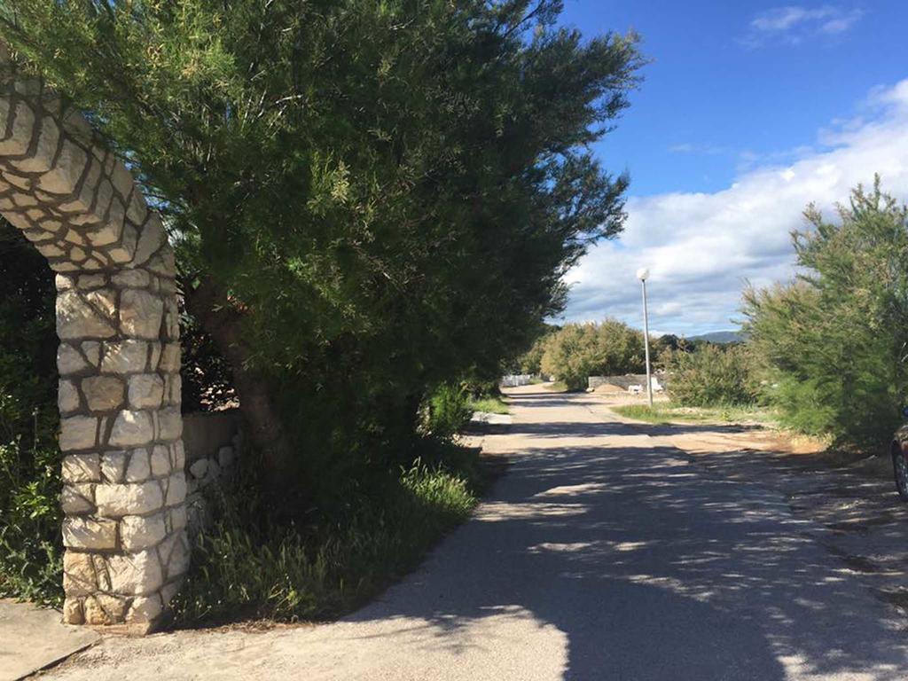 Butterfly Holiday Home Tonkica بيتينا المظهر الخارجي الصورة